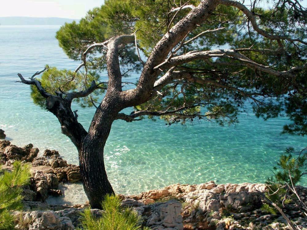 Apartmani Milka I Jozo Omiš Εξωτερικό φωτογραφία