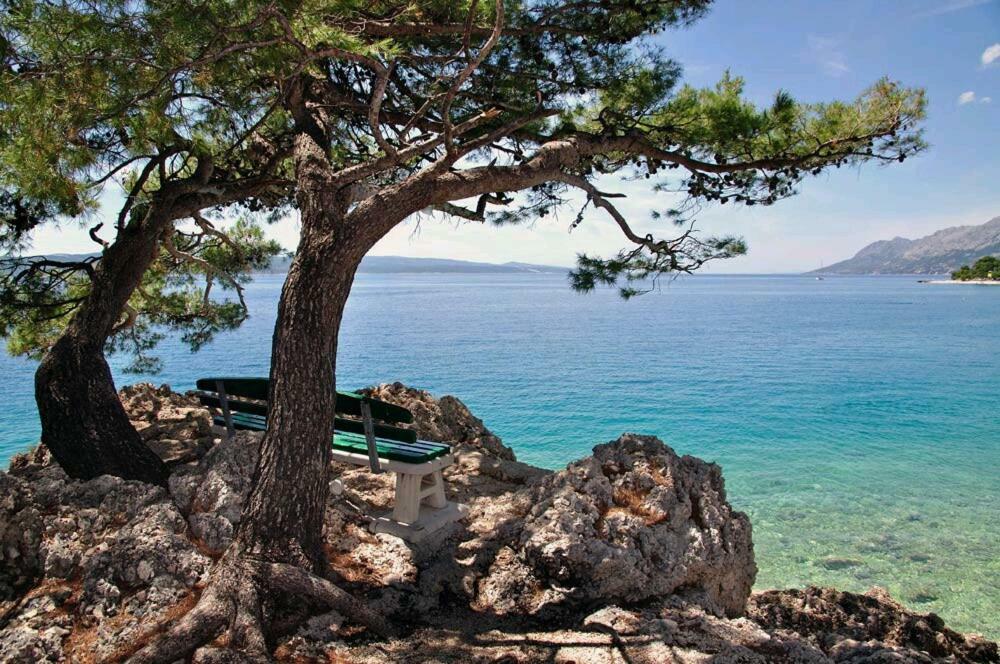 Apartmani Milka I Jozo Omiš Εξωτερικό φωτογραφία